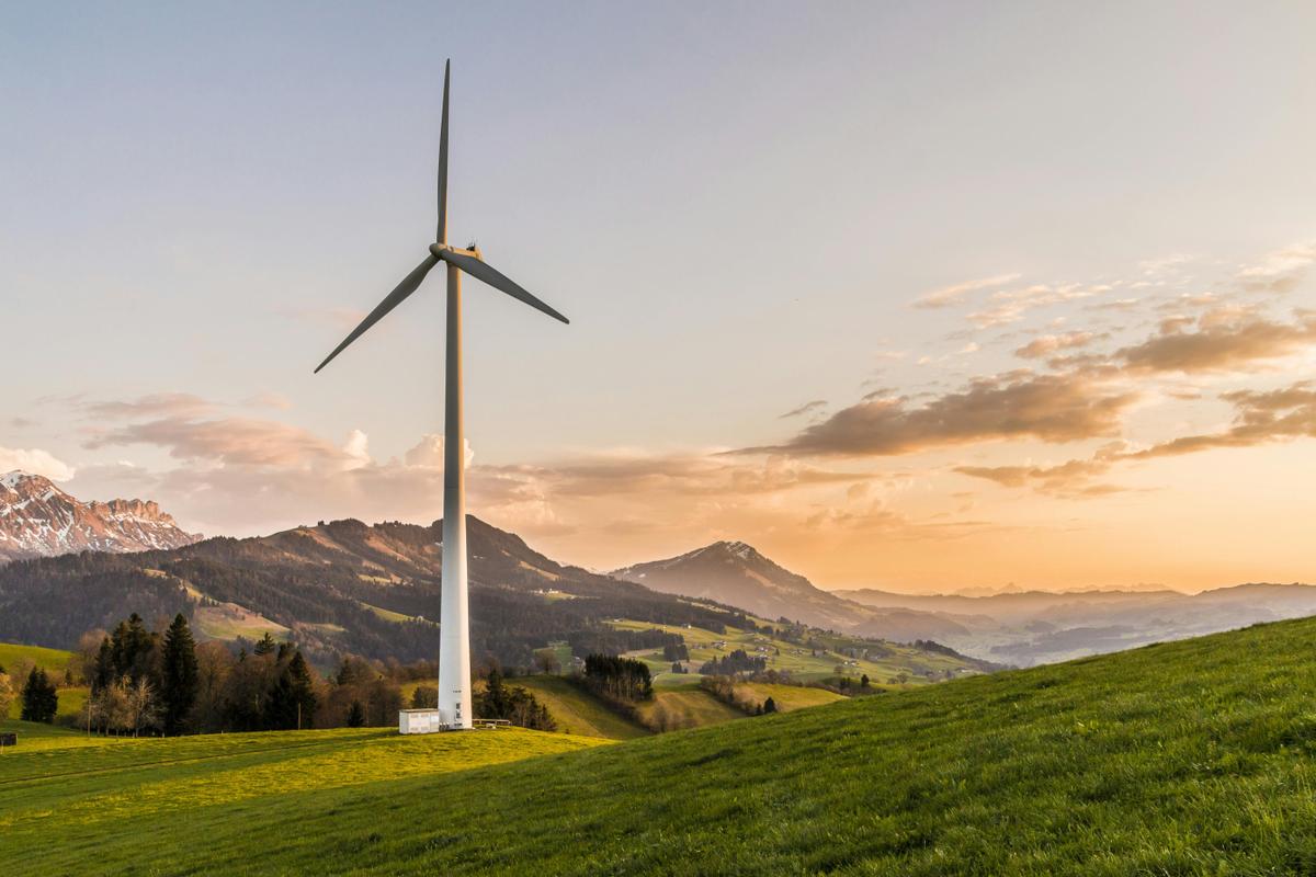 Energy & Renewables
